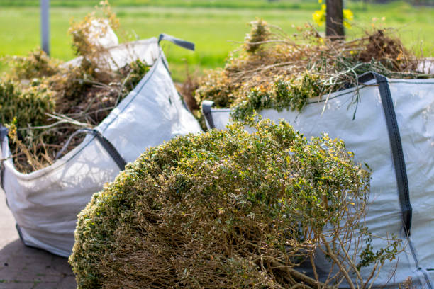Best Local Junk Hauling  in Fenton, MI
